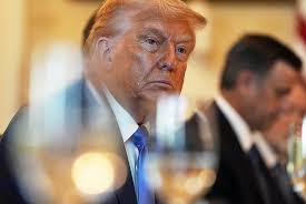 特朗普宣布自8月1日起对14国征收高额关税